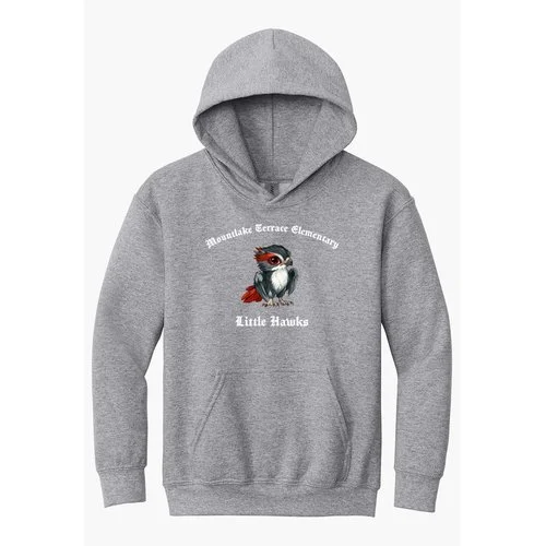 Hoodie Design 1 Grey.jpg
