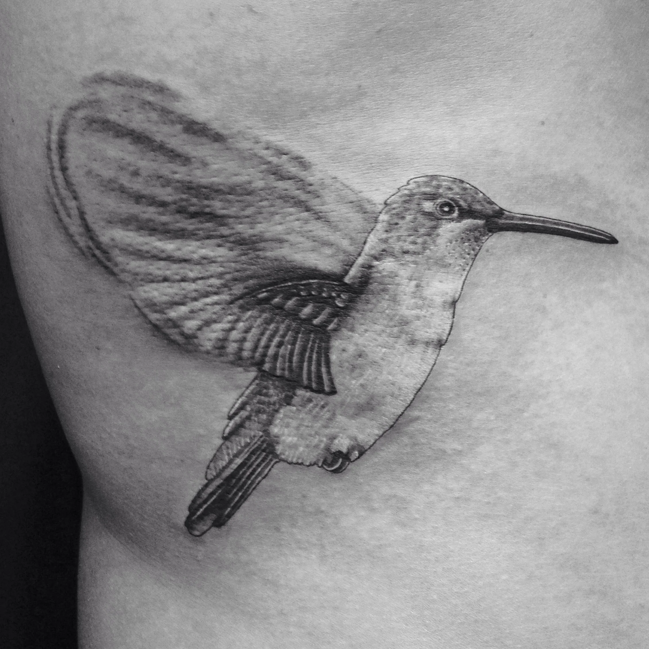 Hummingbird