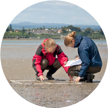 Multi Species Using a quadrant survey, students identify the bio-diversity of an estuarine environment & the relationships between those species. They develop food chains & look for the gaps & imbalance in the overall food web.
