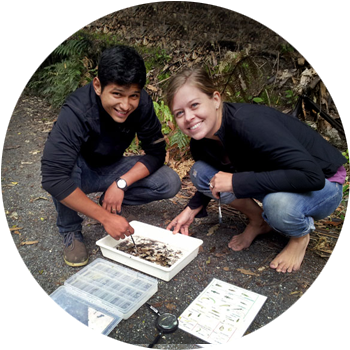Oxygenation (Measured by Indicator Species) Oxygenated water supports animal life. Our test is a presence / absence survey identifying species & which of those species need an oxygen rich environment to survive.