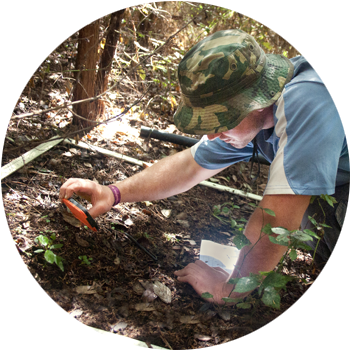 Understory Regeneration Quadrants of both open & reforested areas are monitored for new species growth to measure which natives are germinating on their own, when maintenance can be scaled back & how geography, topography & planted species effect these results.