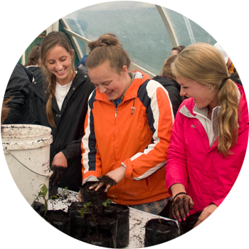 Potting   We genetically source local plants from seed or seedlings to ensure that they will thrive in our project sites.  We then grow the seedlings on in our own nursery until they are big enough to be planted out.