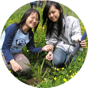 Planting   We plant the right plants, in the right place. We use a variety of native species depending on the type of habitat being created &amp; the access to water.  We use planting spacing designed to maximise their dominance over exotics &amp; we plant in areas around waterways, where we can have knock-on downstream benefits.