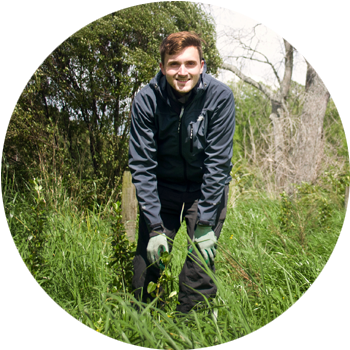 Releasing &amp;&nbsp;Maintenance   We maintain our plantings by controlling the growth of grasses &amp; other exotics around them until our trees can out compete them.  Although on-going maintenance is required to keep walking tracks clear &amp; safe, the reforestation efforts are almost completely self-sufficient after just five years.