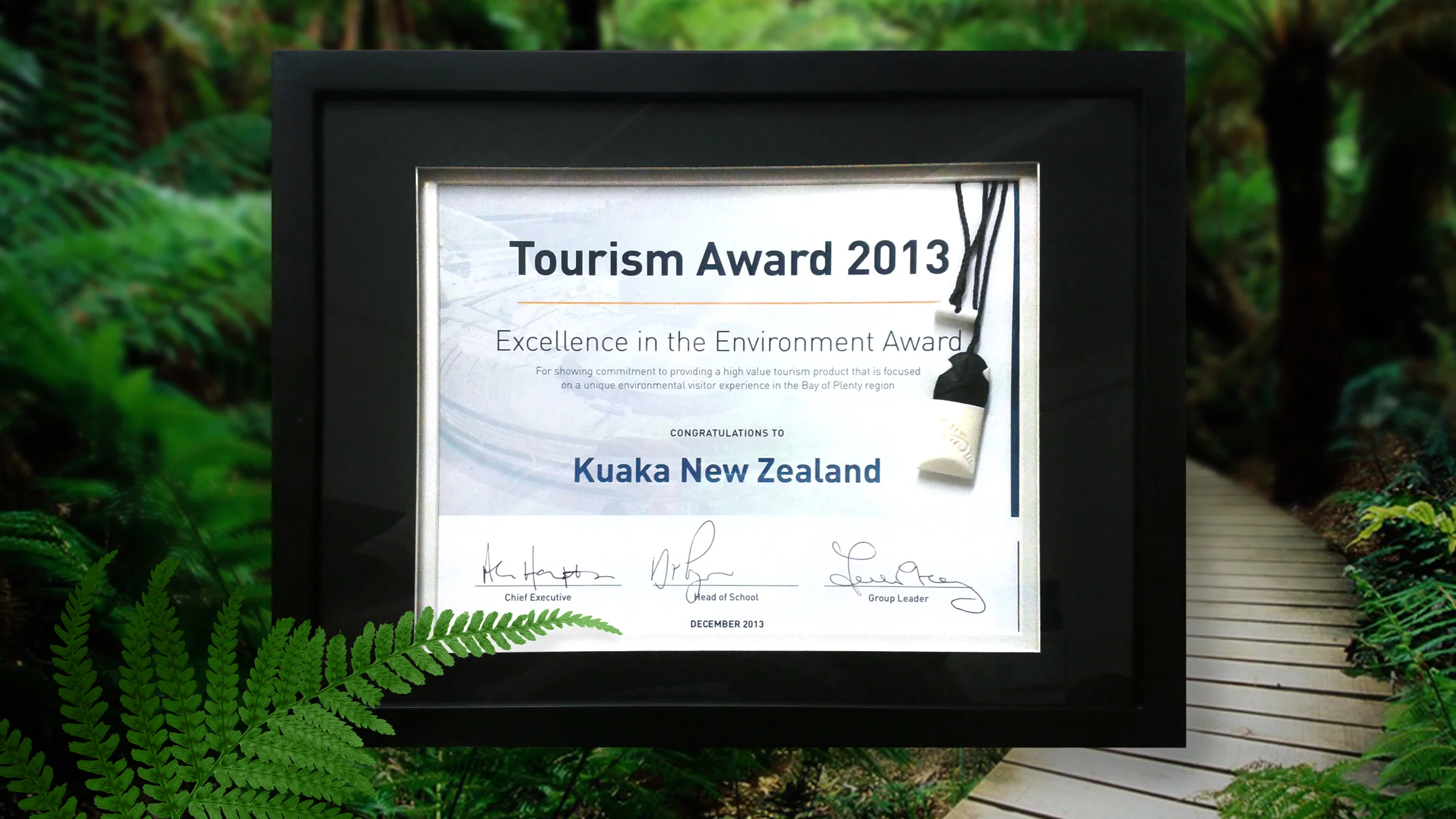 Excellence in the Environment Award