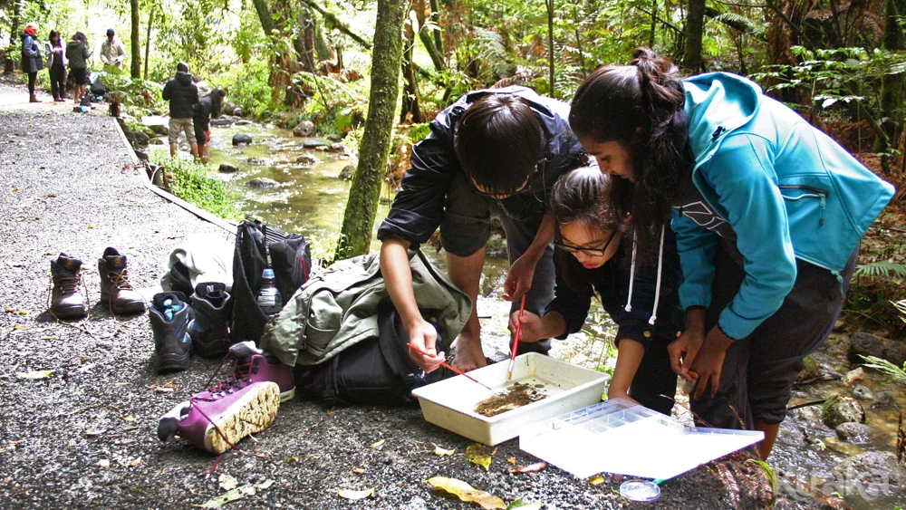 Water quality surveys