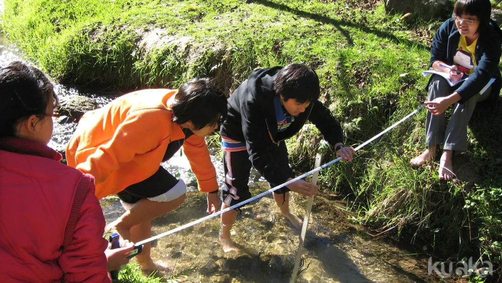 Stream profiling