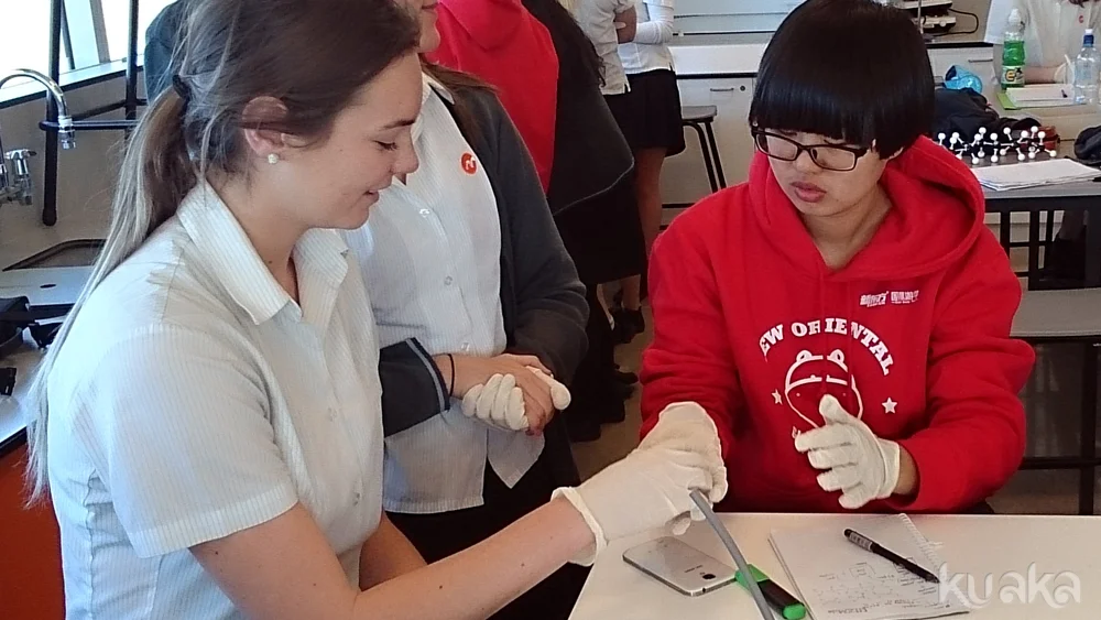 New Zealand school immersion