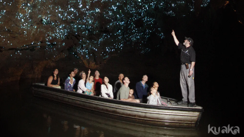 Take a boat ride through the glowworm grotto