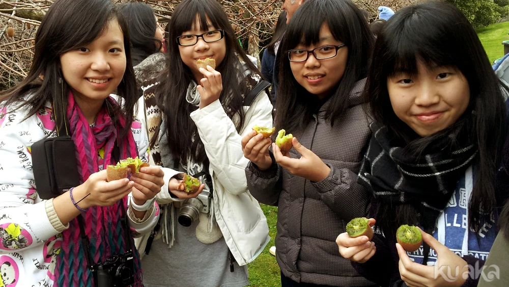 Eating-Kiwifruit.jpg