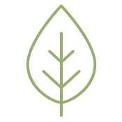 Environmental Science Study of ecology & related environmental sciences has a natural home in New Zealand with Kuaka. Students get hands on experiences in environmental monitoring - water quality, vegetation surveys, fauna presence / absence, endangered species rehabilitation, habitat restoration & more. Learn more