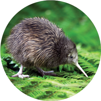 Making a difference &amp; monitoring the change   We focus on how the themes of land stability, water quality &amp; biodiversity relate as key principles in environmental health.     Learn More