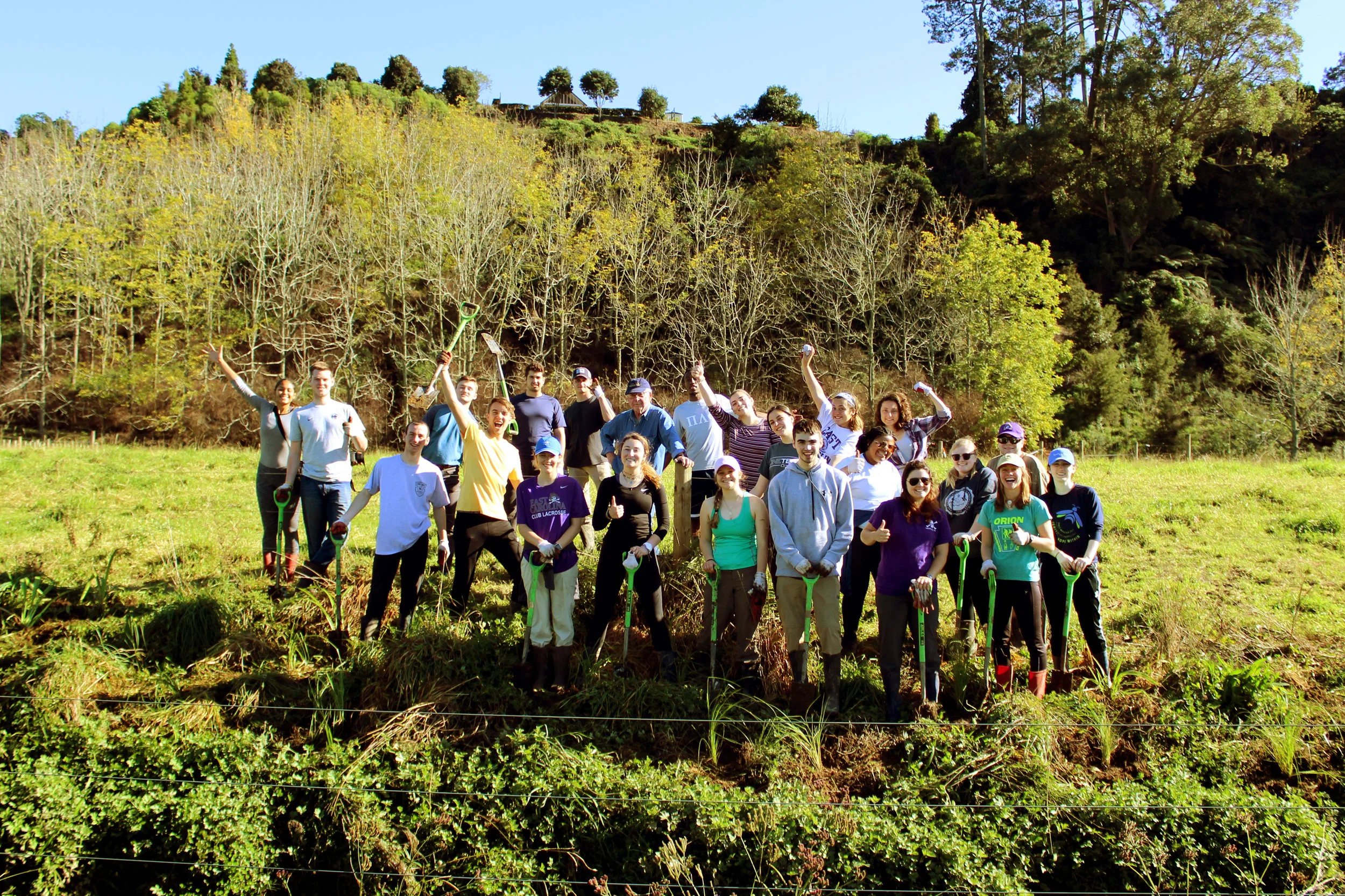 300 native wetland plants in an afternoon!