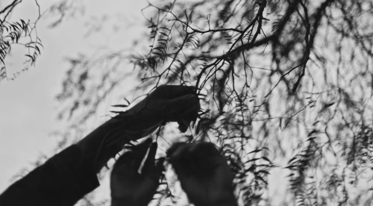 WhatsApp Image 2018-03-07 at 20.51.49.jpeg