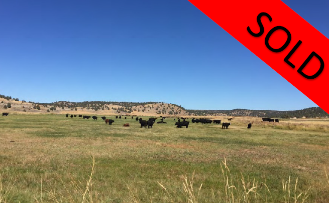 SX Ranch - 7,125 Acres Modoc County