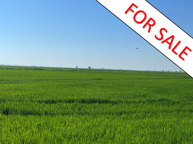 433 Ac. Irrigated Cropland "Rice" - Colusa Co. $5.4MM