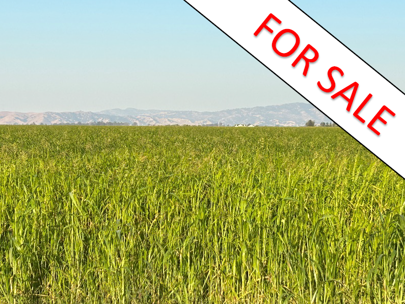 416 Acres Irrigated Cropland "Hay" Solano Co. - $4.5MM