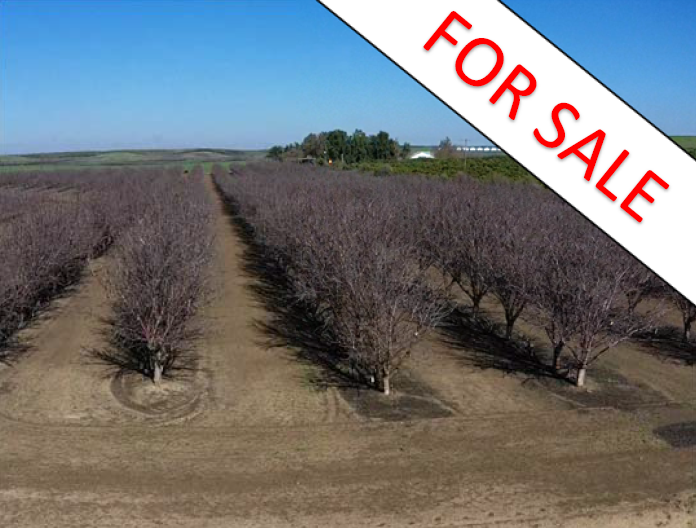 160 Acres Almonds &amp; Pecans - Yolo Co. - $3.5MM