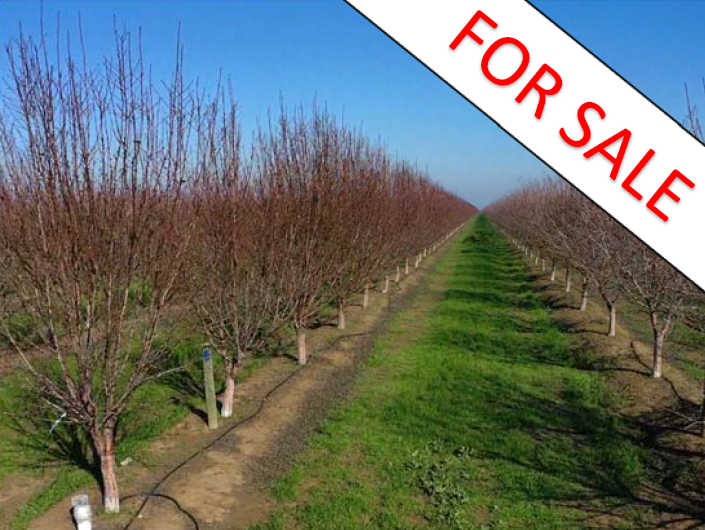 346 Acres Almonds - Yolo Co - $10.5MM