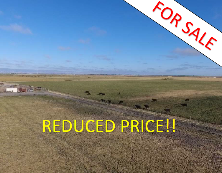 434.31 Acres - Irrigated Pasture - Solano Co. $5.2MM