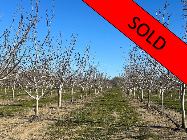 131.9 Acres Walnuts - Colusa Co.