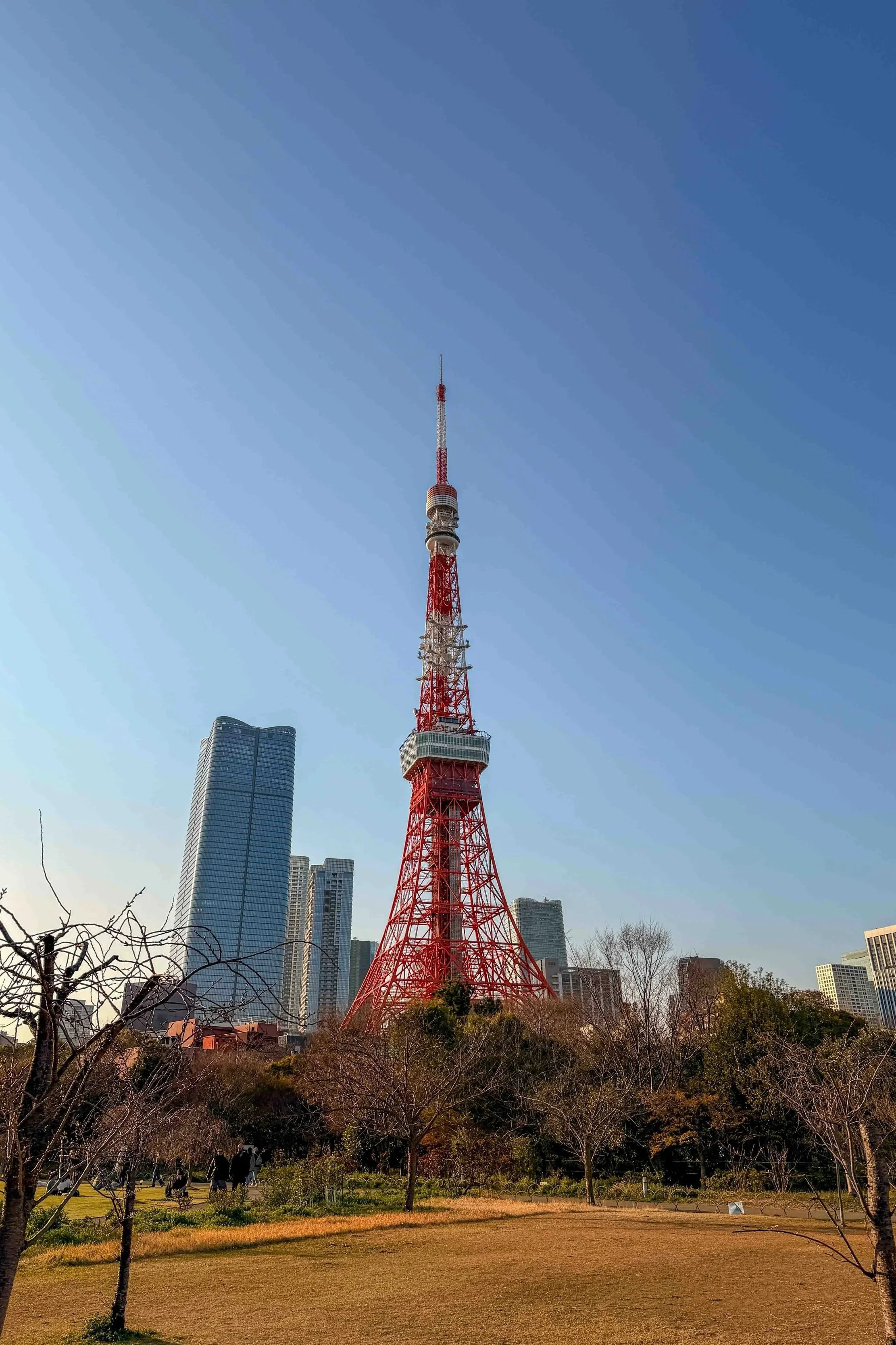 Shiba Park Tokyo Tower