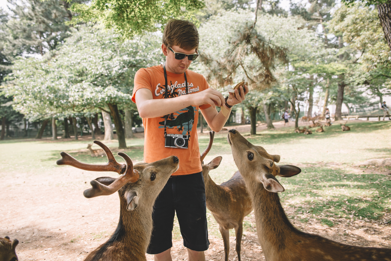 Ryan feeding the deer in Nara