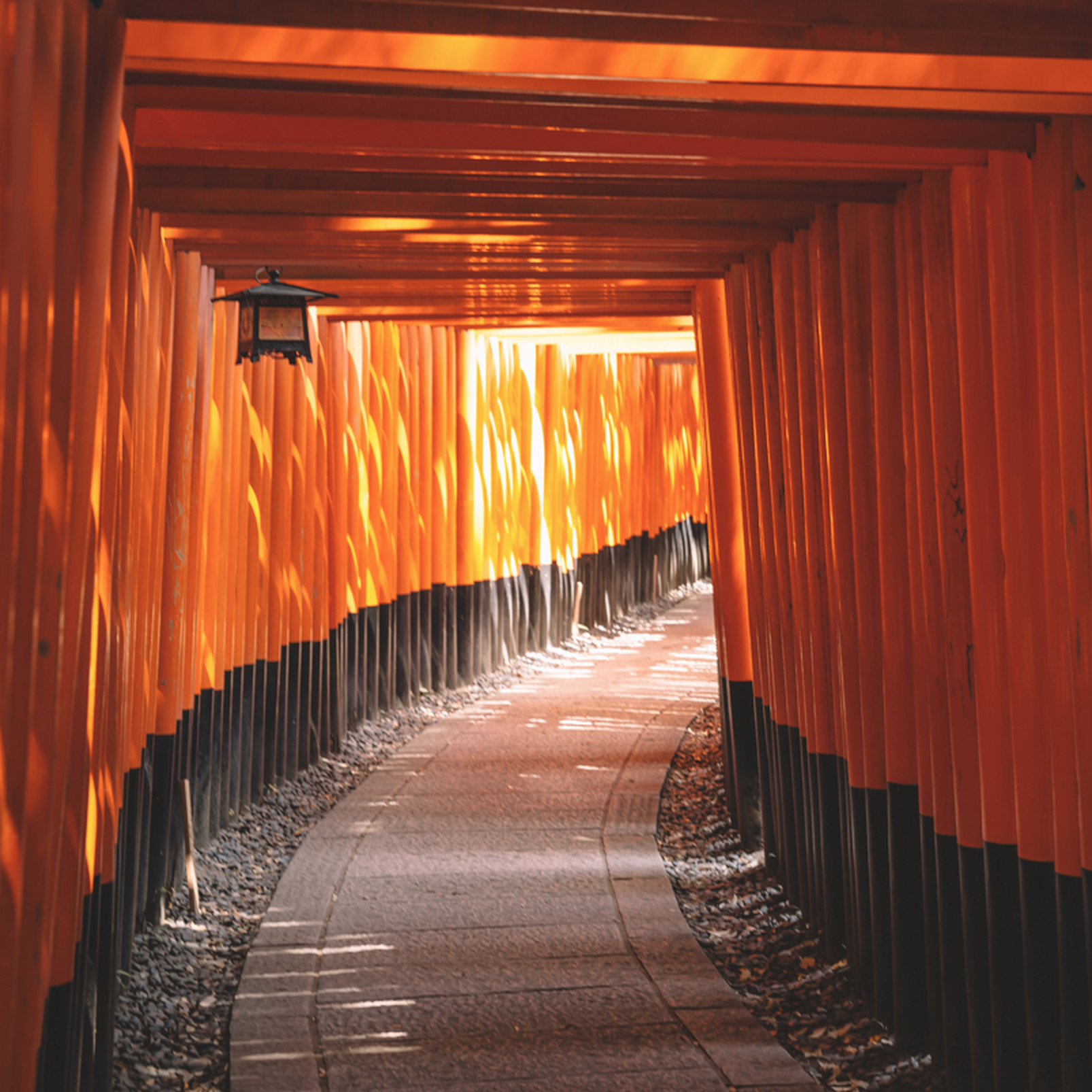Visiting Japan in 4 Days