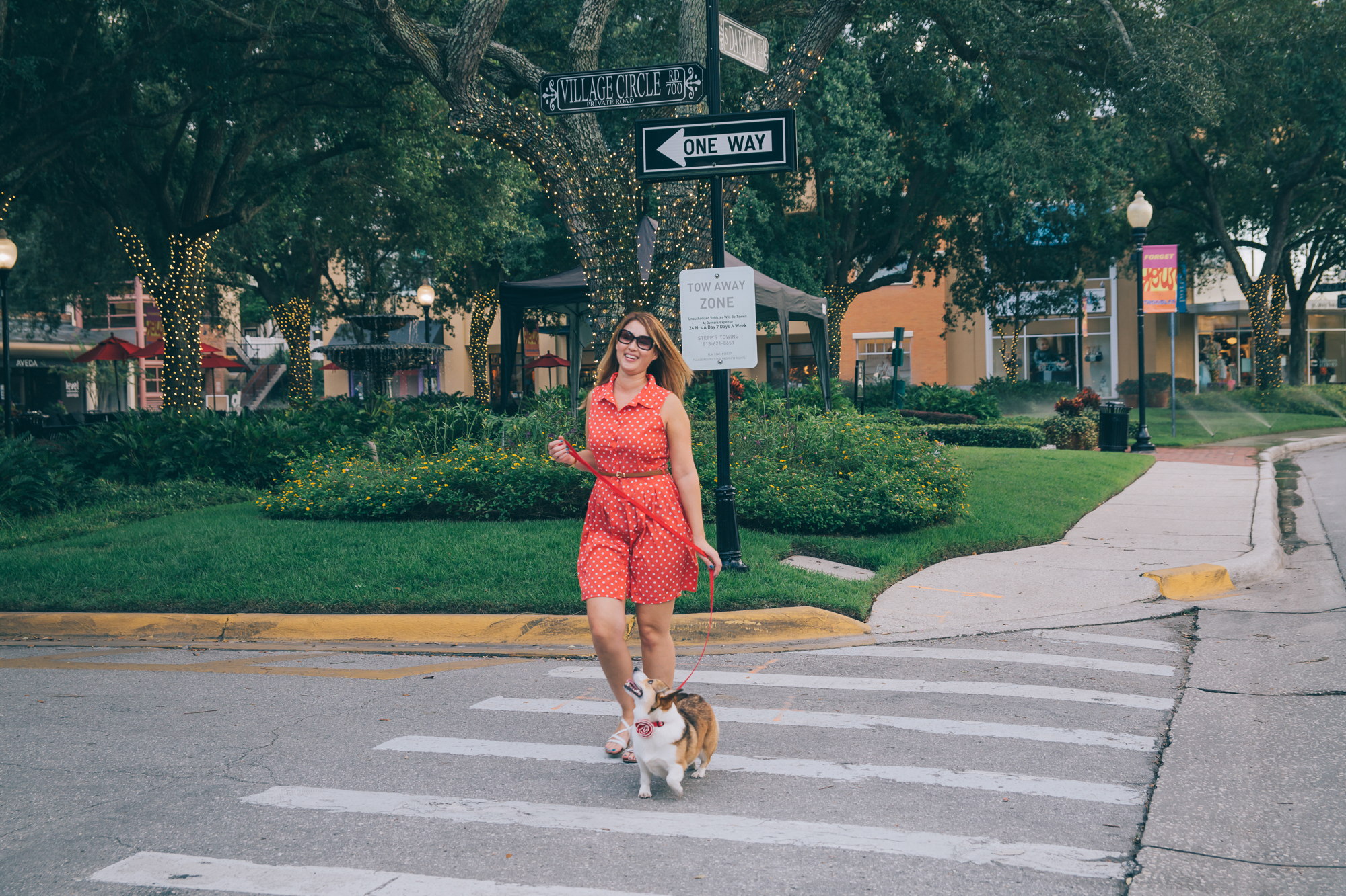 Forever21 dress (similar dresses can be found at www.modcloth.com)