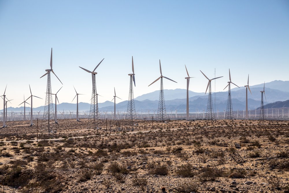 Joshua Tree National Park In a Day Travel Pockets
