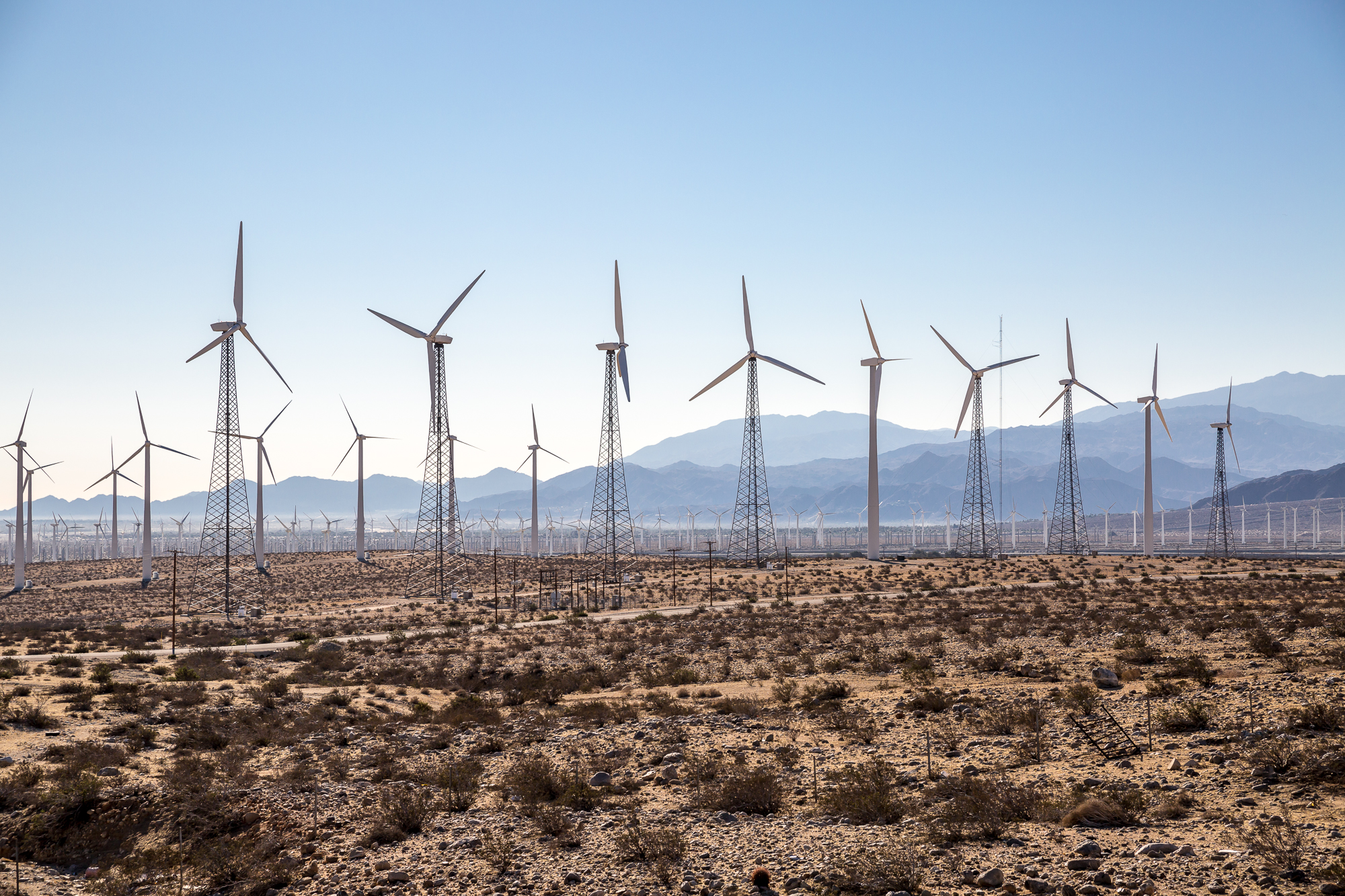 TONS OF WINDMILLS NEAR JOSHUA TREE EXIT