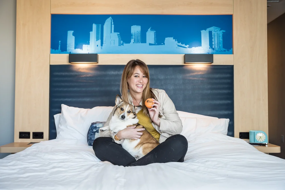 Pet Friendly Getaway in Downtown Tampa Travel Pockets