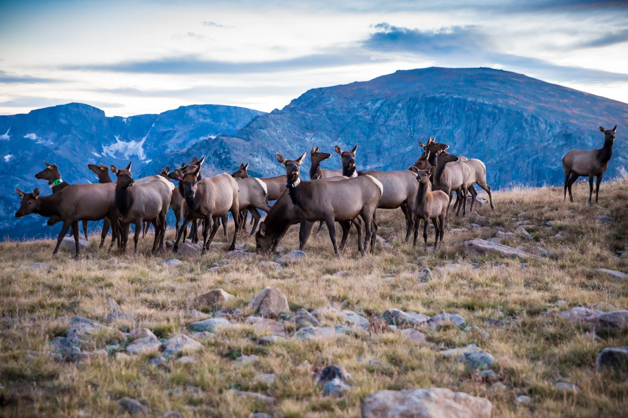 Colorado | Estes Park &amp; the Rocky Mountains