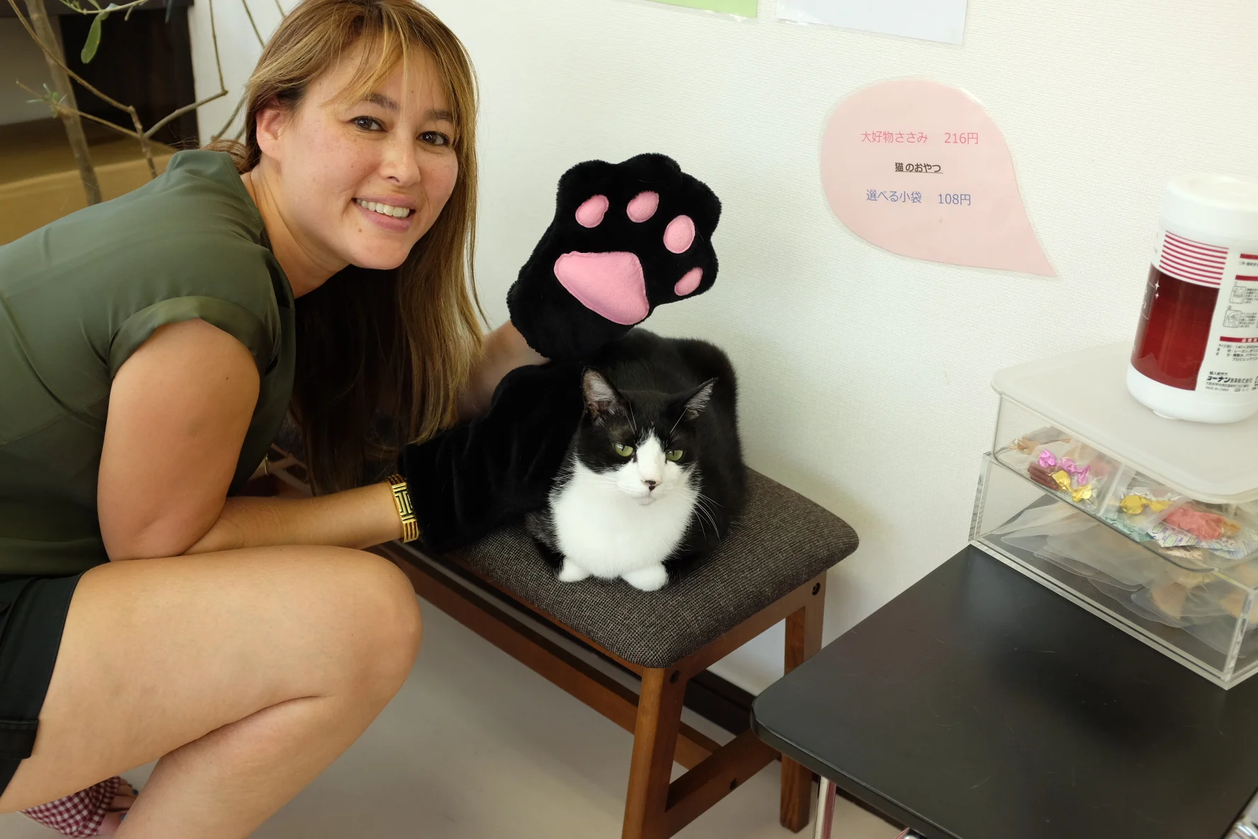 Have You Been to a Cat Cafe?