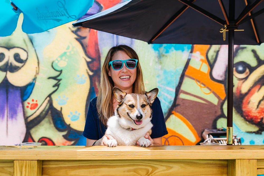 The Dog Bar in St. Petersburg - My New Favorite Place!