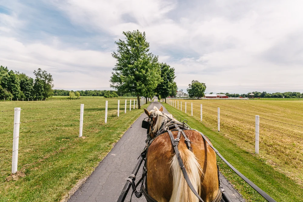 Visiting Amish Country Indiana