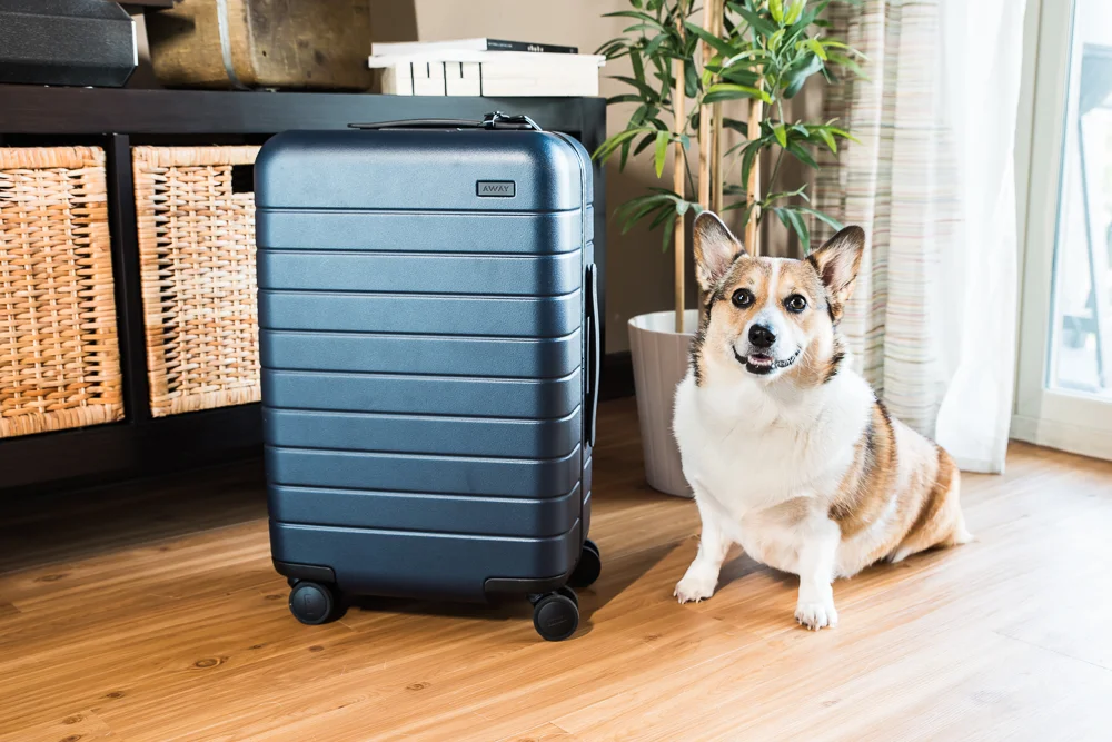 Away Suitcase This is the Carryon Suitcase You Want! Travel Pockets