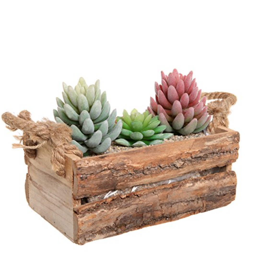 Rustic Natural Wood Plant Box Pot