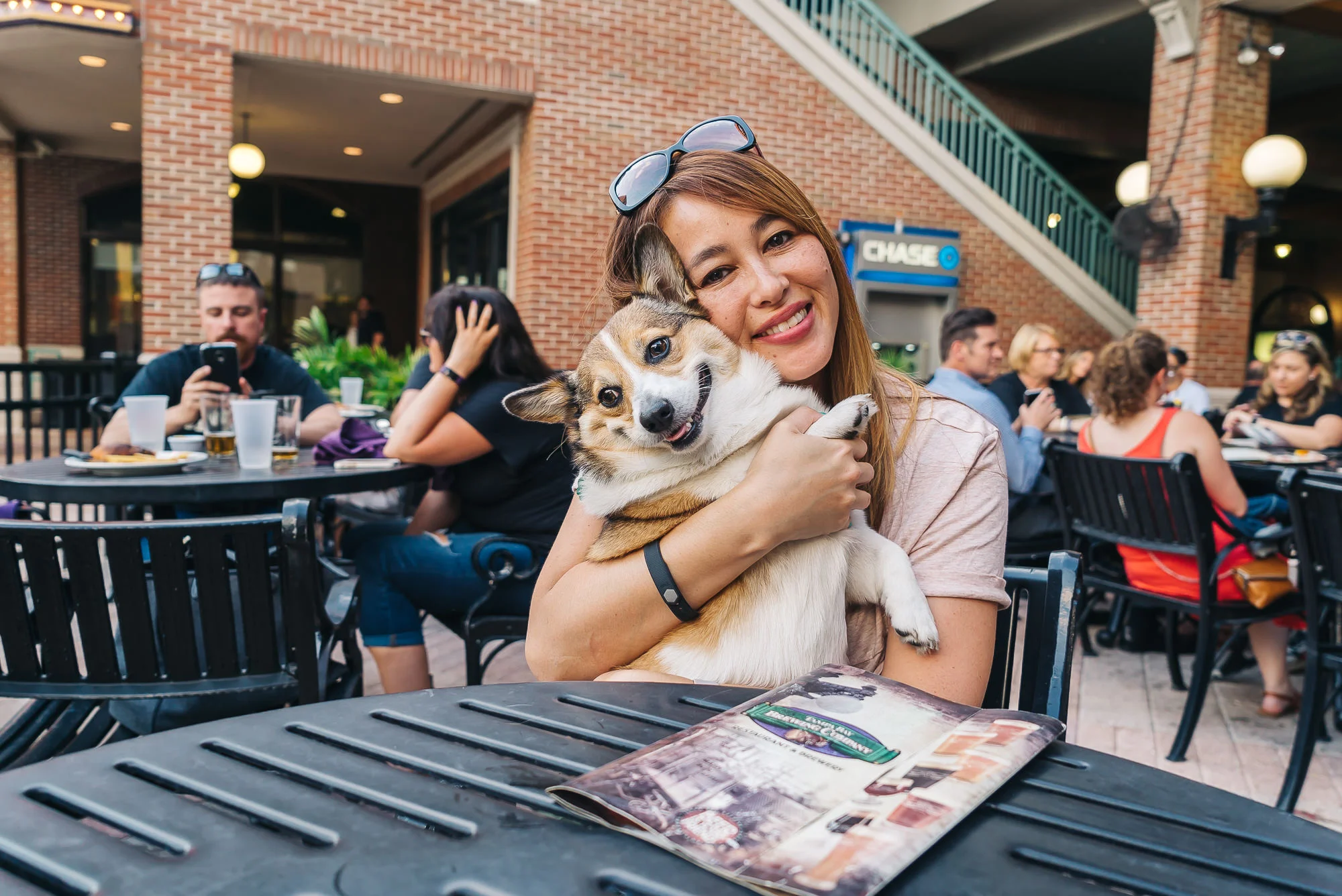 17 Awesome Dog Friendly Spots in Tampa, Florida