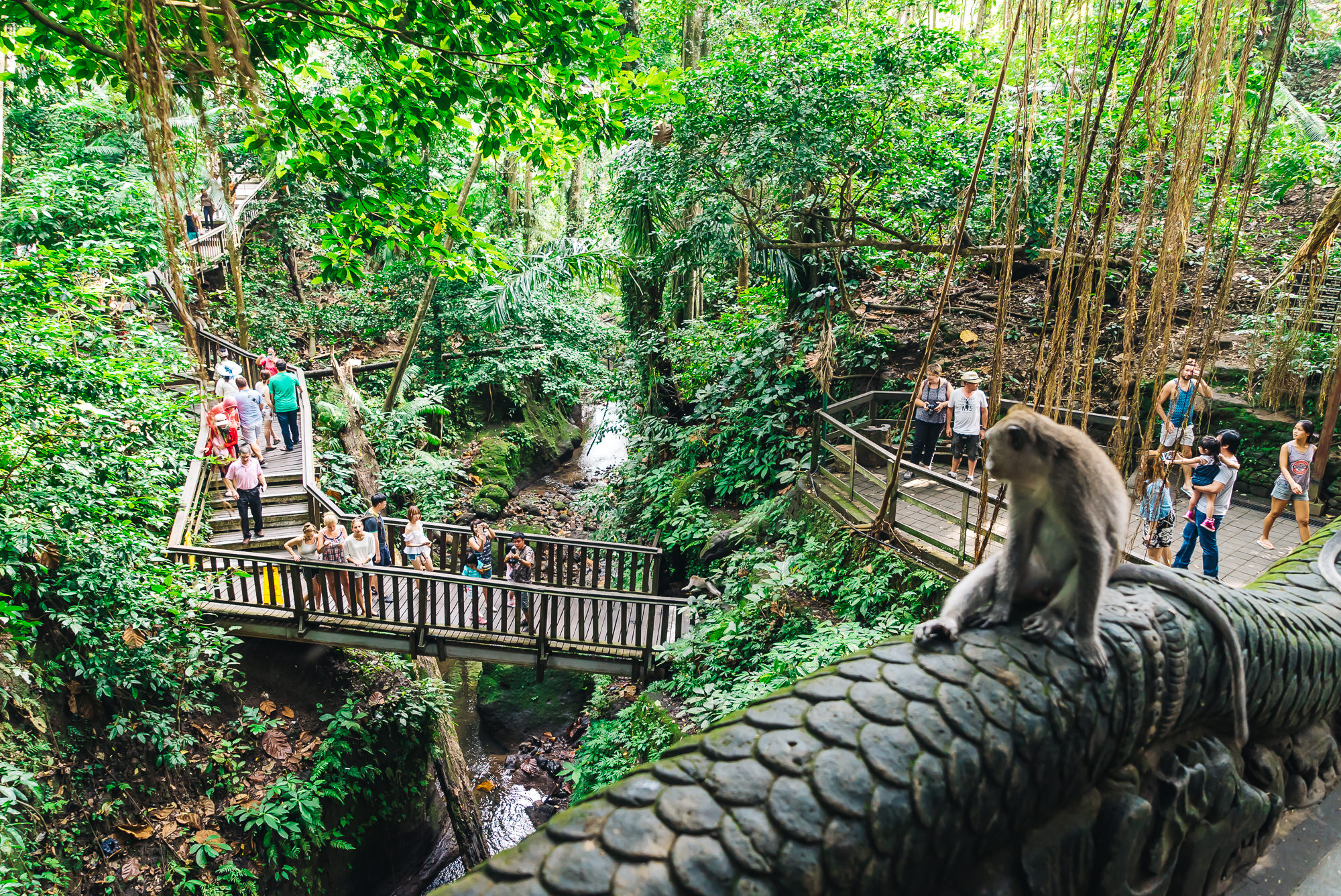 Sacred Monkey Forest Sanctuary of Ubud, Bali - Travel Pockets
