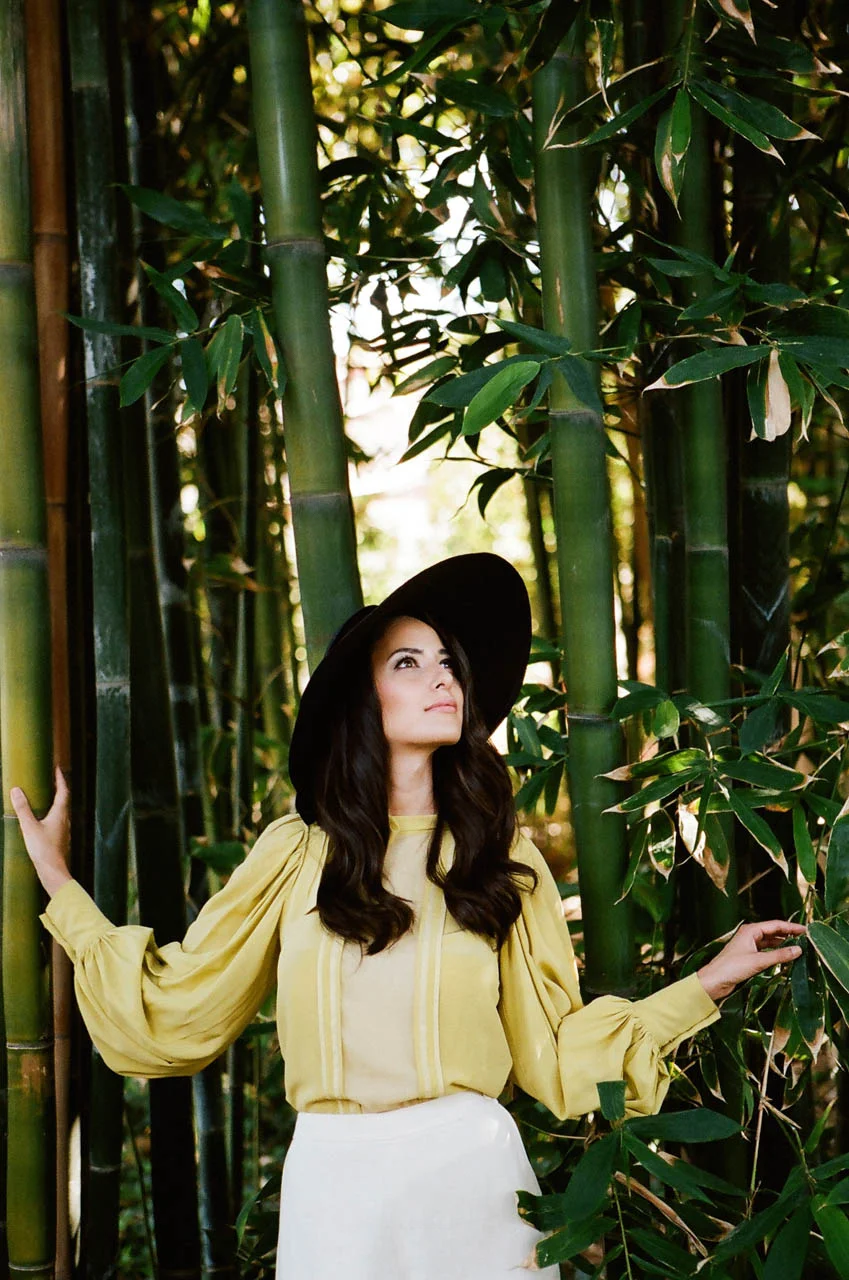 Bamboo Forest - PHOTO CREDIT:  BRIAN TROPIANO