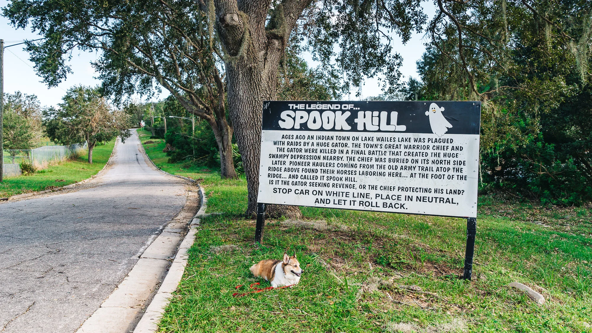 Get a Little Spooked at Spook Hill in Lake Wales, Florida Travel Pockets