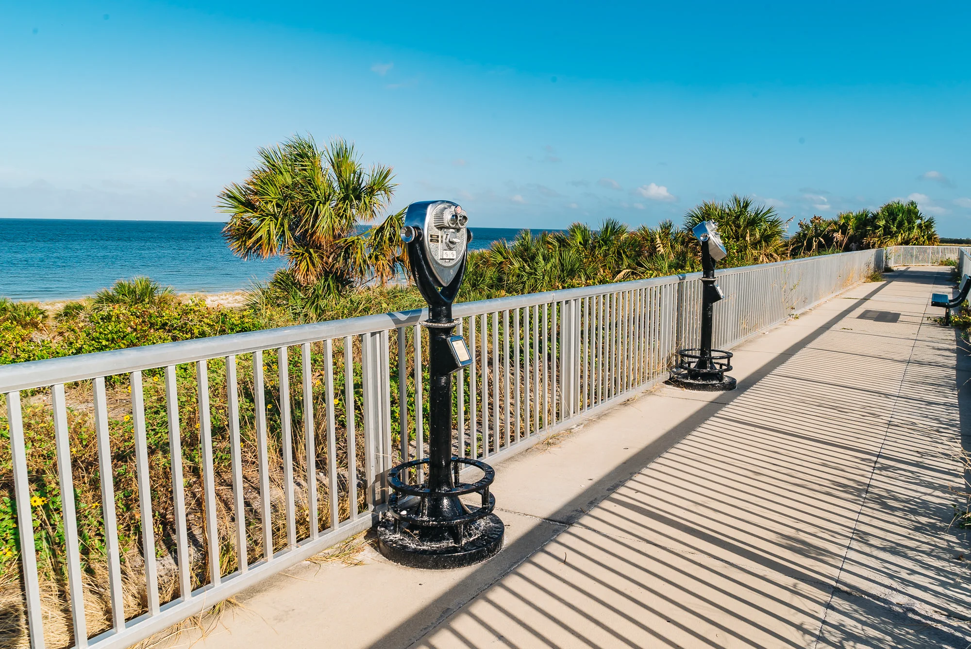 Super PetFriendly Fort De Soto Park in Florida Travel Pockets