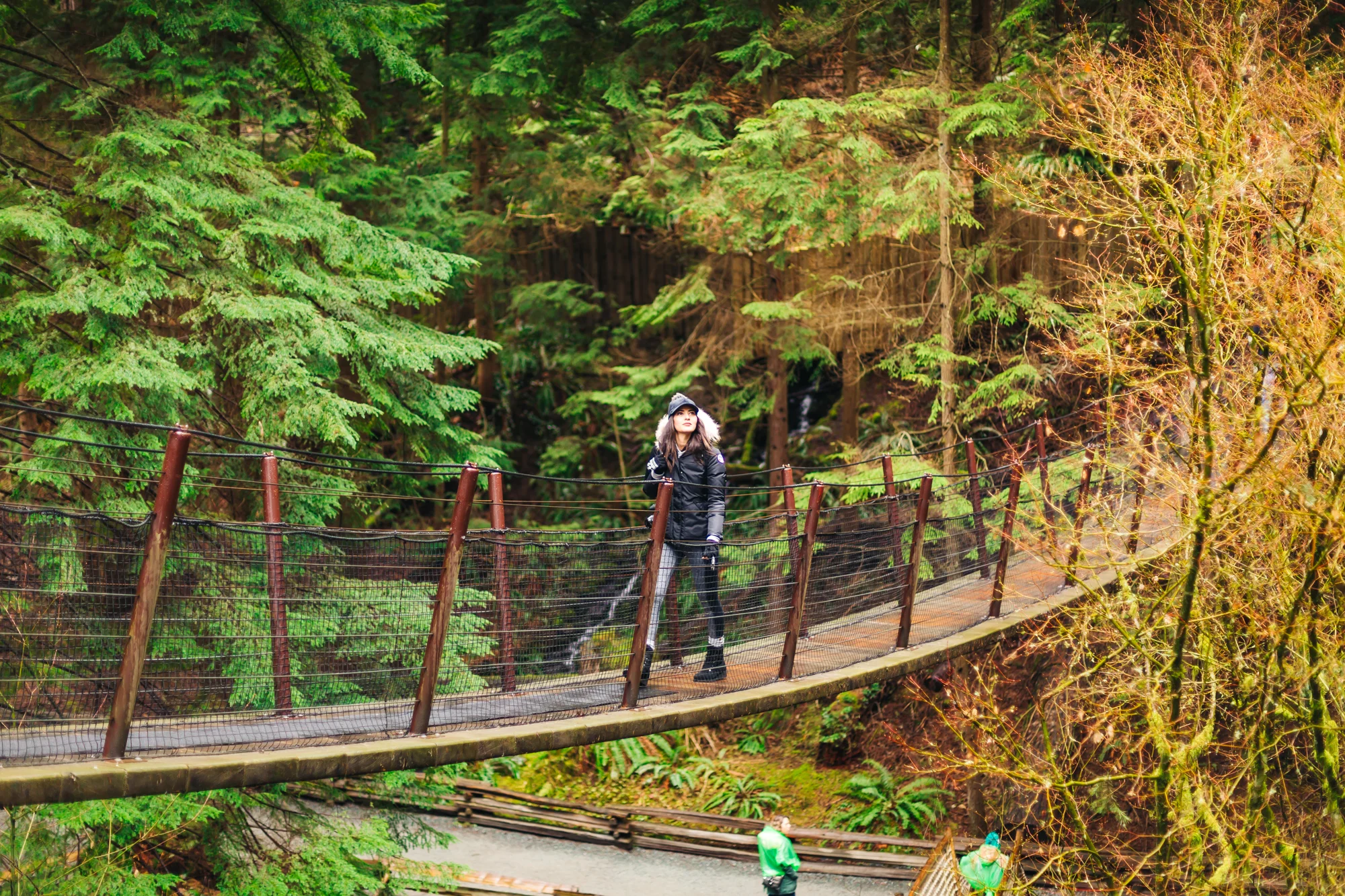 Capilano Suspension Bridge Park