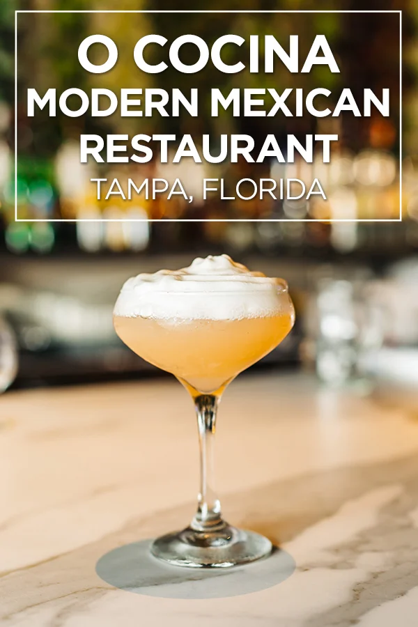 O Cocina Modern Mexican Restaurant in Tampa, Florida