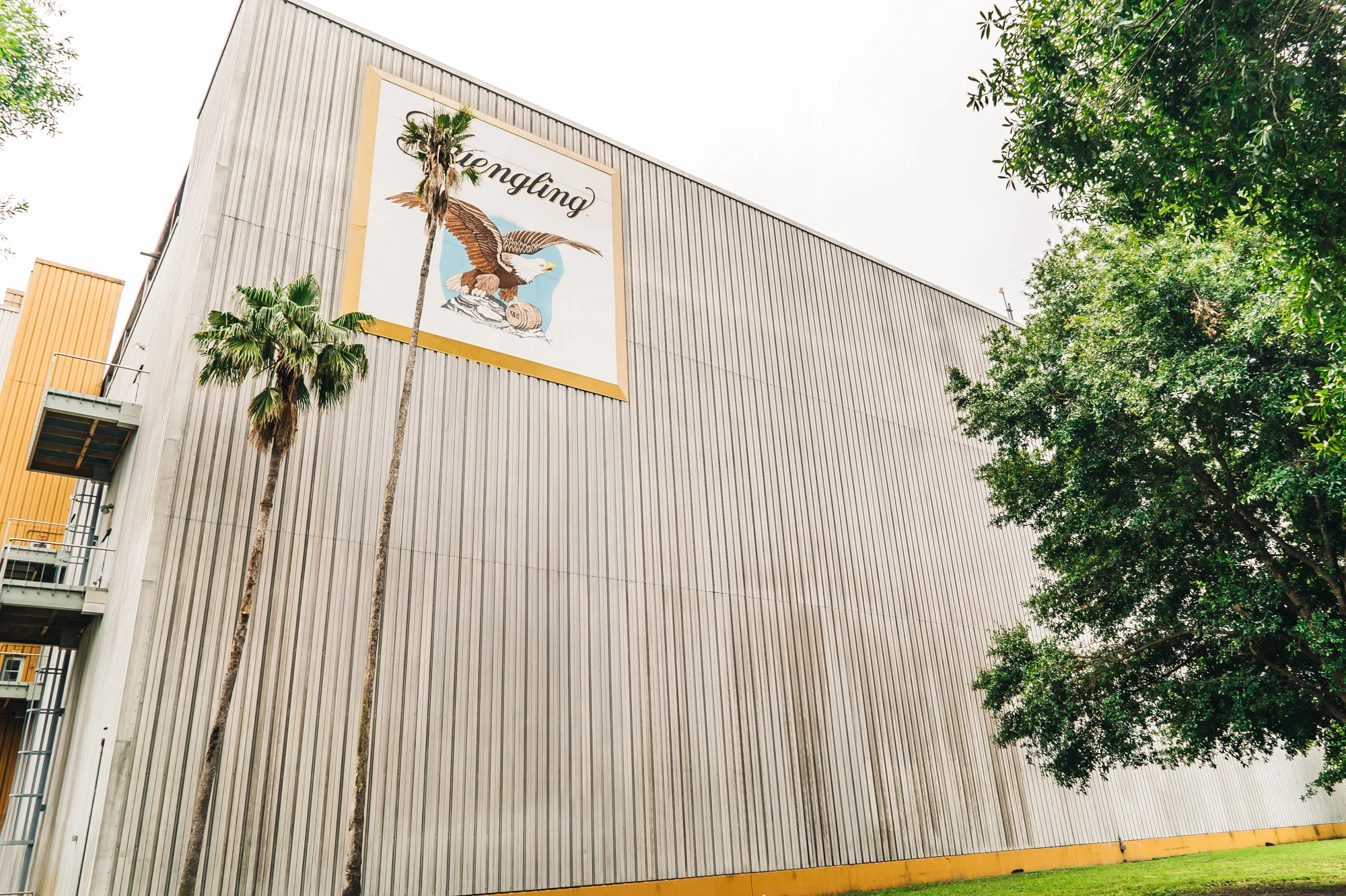 yuengling factory in tampa, florida