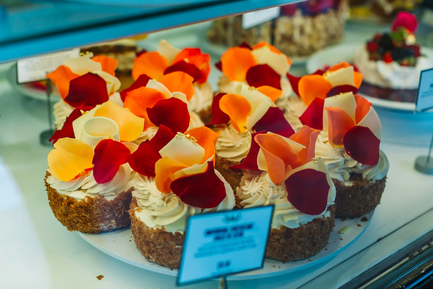 13 Things To Do in Little Italy, San Diego That Have Nothing To Do With