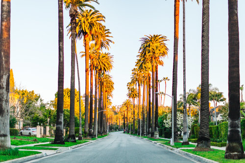 Where to Find the Famous Palm Tree-Lined Street in Beverly Hills - Travel  Pockets