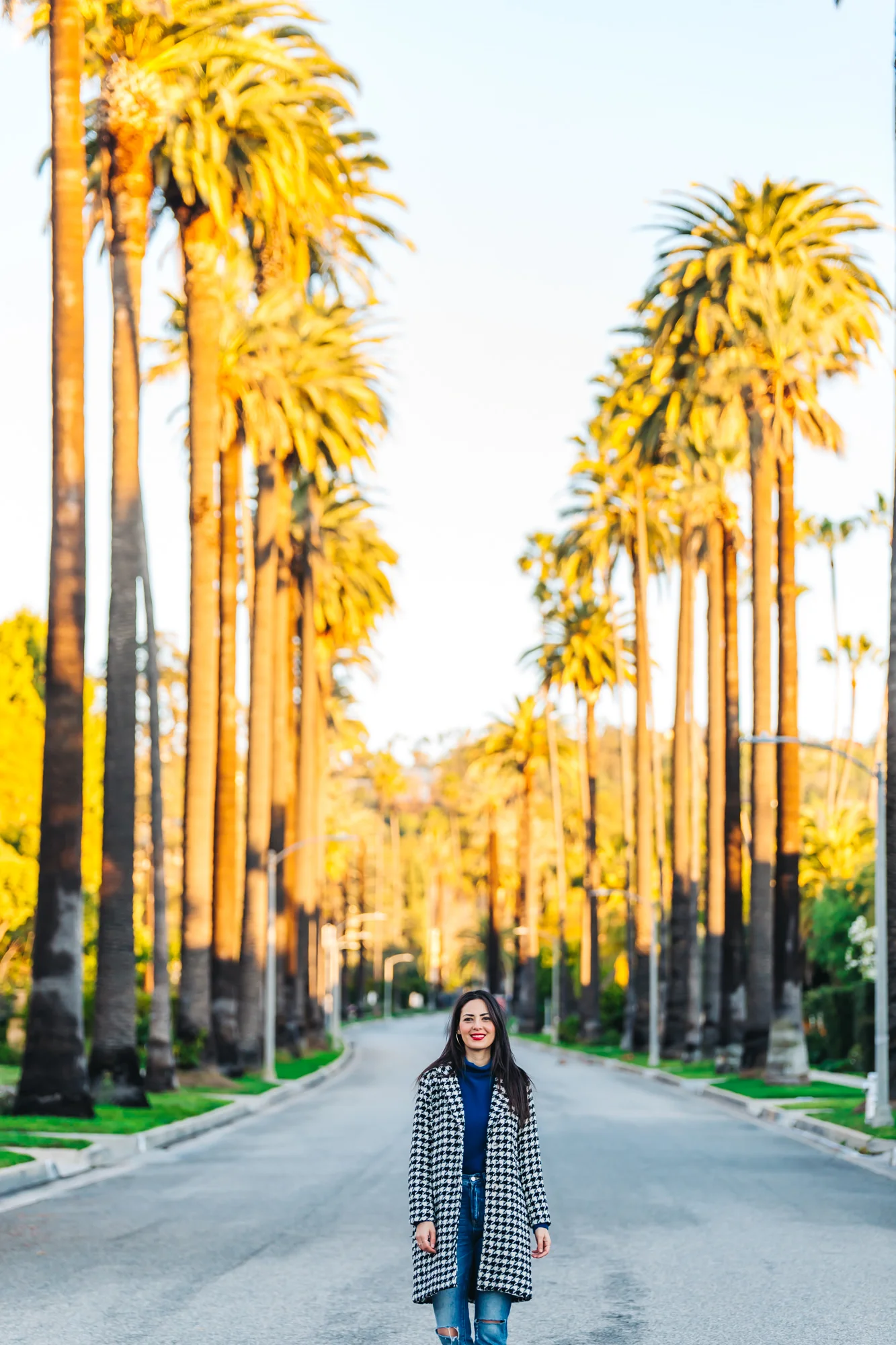 Where to Find the Famous Palm Tree-Lined Street in Beverly Hills