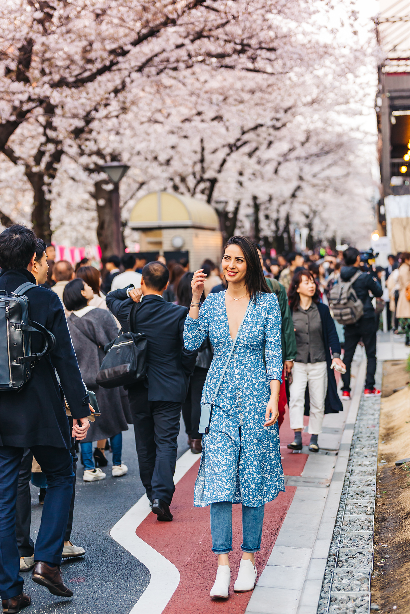 Japanese Cherry Blossom Spring Merch